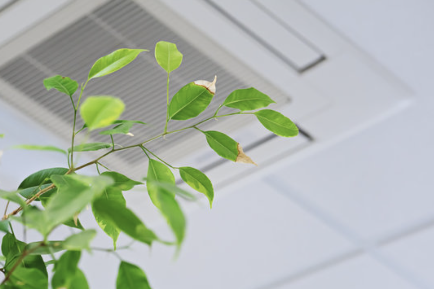 Improving Indoor Air Quality: Necessary For Your Health