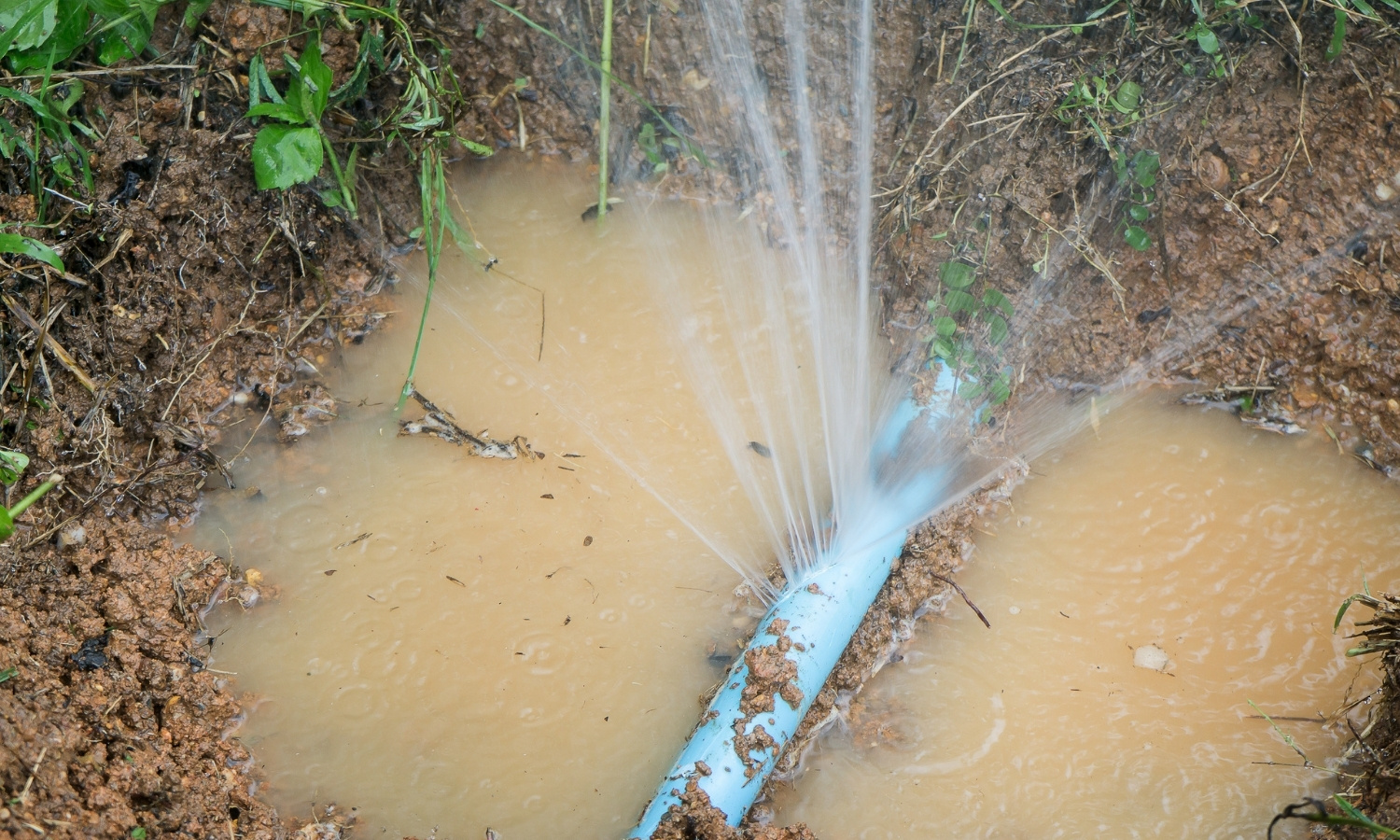 How To Identify Outdoor Water Leaks